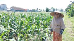 Sinergi Polri dan Petani di Desa Labuapi untuk Perkuat Ketahanan Pangan Nasional