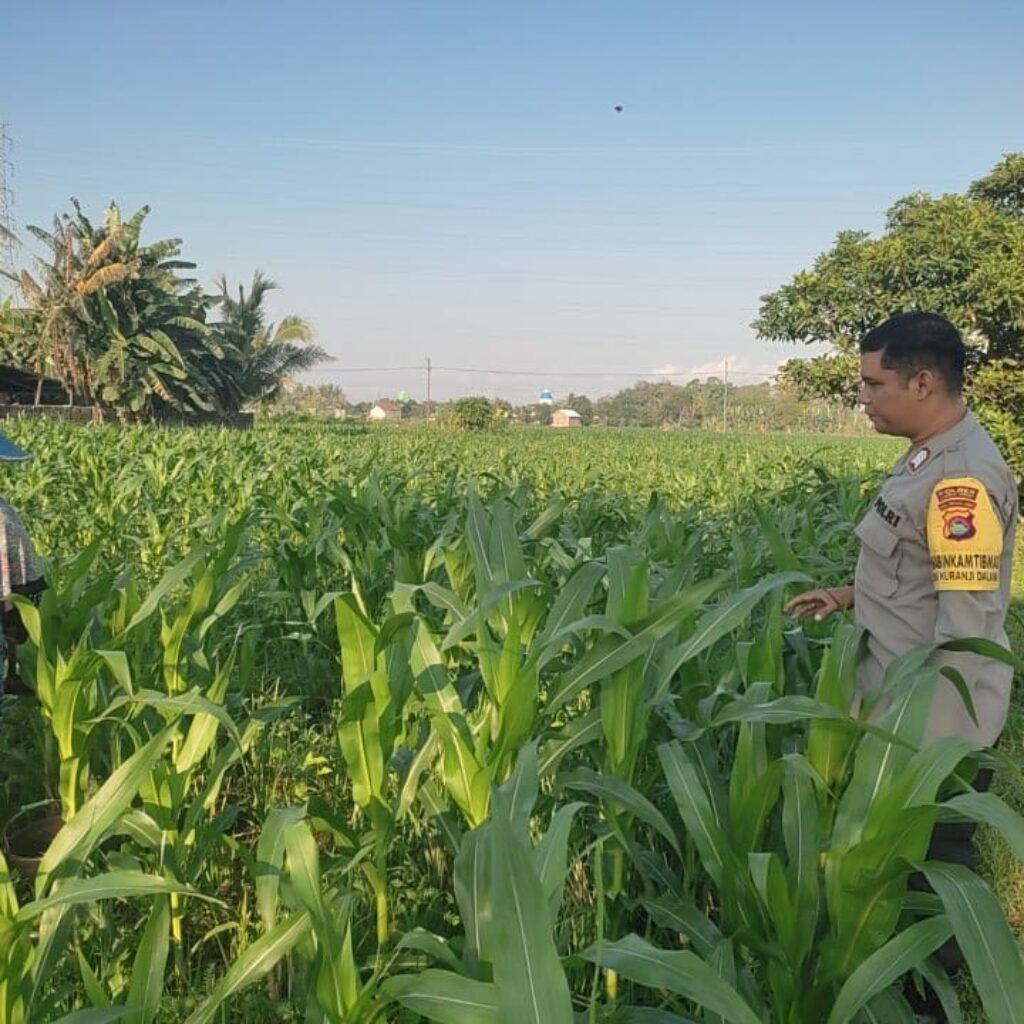 Polsek Labuapi Gandeng Petani Desa Kuranji Wujudkan Kemandirian Pangan