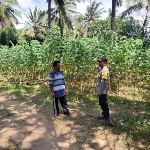 Polri Aktif Dukung Program Pangan Nasional Lewat Gerakan Pekarangan Desa Pelangan