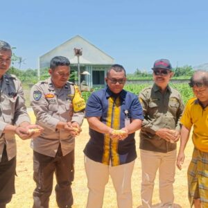 Pendampingan Polri di Gerung: Jagung Desa Beleka Lolos Uji Kadar Air Ideal
