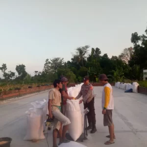 Polsek Kuripan Pastikan Kualitas Jagung Petani Gerung Penuhi Standar Bulog