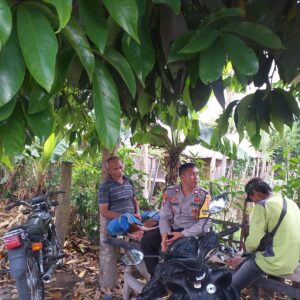 Polsek Kuripan Perkuat Program Ketahanan Pangan di Desa Jagaraga