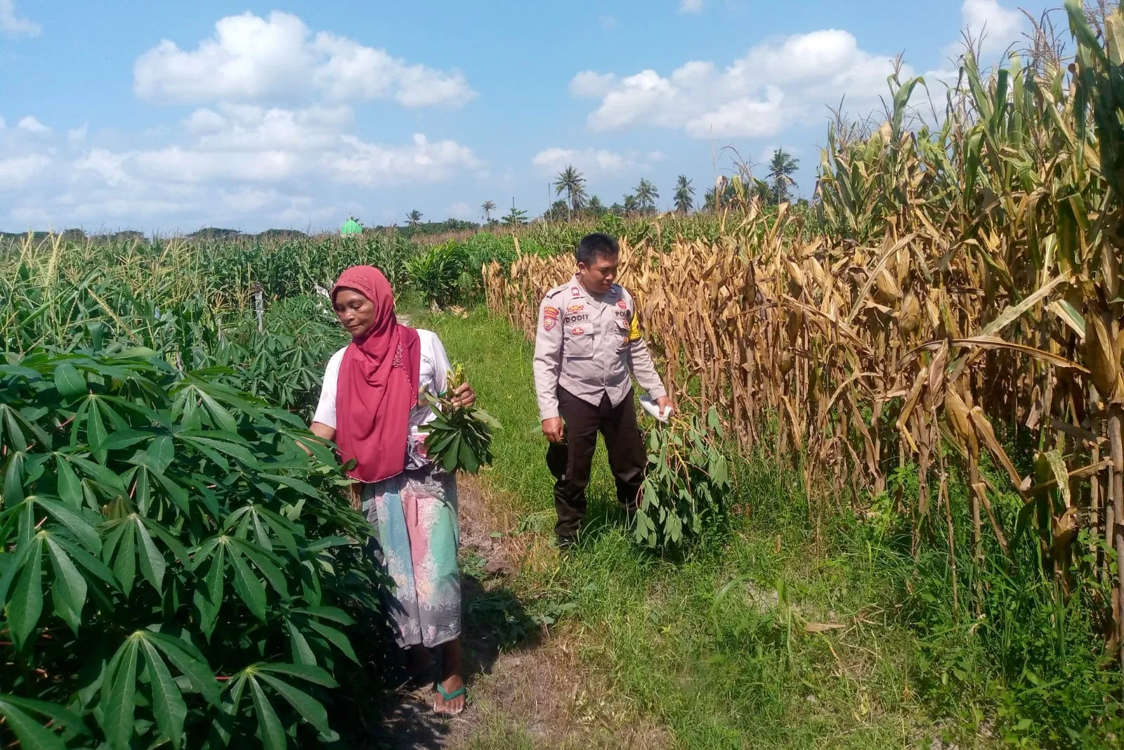 Bhabinkamtibmas dan Petani Bersatu Perkuat Ketahanan Pangan Lokal
