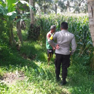 Kunjungan Inspiratif Aiptu Dodit Dorong Ketahanan Pangan di Kuripan