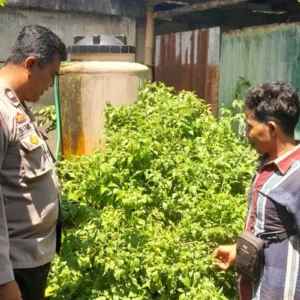 Inisiatif Bhabinkamtibmas Senggigi: Warga Diajak Mandiri Pangan