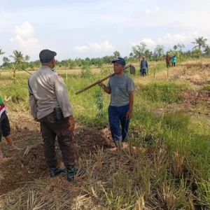 Panen Jagung Manis di Karang Bongkot Dihadiri Bhabinkamtibmas