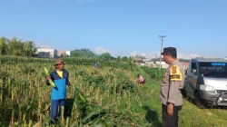 Sinergi Polri dan Dinas Pertanian Bangun Ketahanan Pangan di Lombok Barat