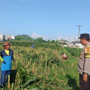 Sinergi Polri dan Dinas Pertanian Bangun Ketahanan Pangan di Lombok Barat