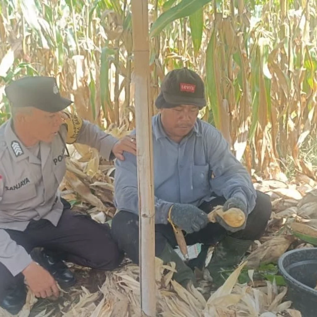 Polres Lombok Barat Kawal Stabilitas Harga Beras untuk Lindungi Warga