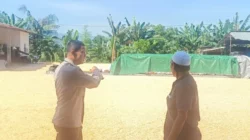 Sinergi Polisi dan Petani Jaga Pasokan Jagung di Lombok Barat