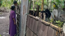 Bhabinkamtibmas Senggigi Ajak Warga Kelola Lahan Kosong Jadi Sumber Pangan