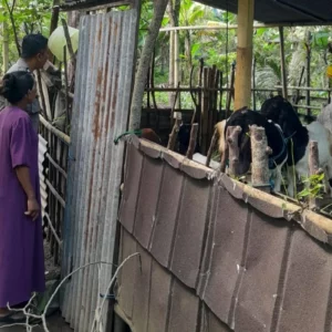 Polisi Turun ke Desa, Dorong Ketahanan Pangan dari Rumah Sendiri