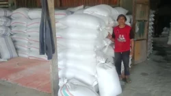 Ketahanan Pangan NTB: Polisi Kawal Serapan Jagung Petani