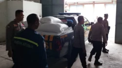 Jagung Petani Gerung Lolos Standar Bulog, Harga Aman dan Stabil