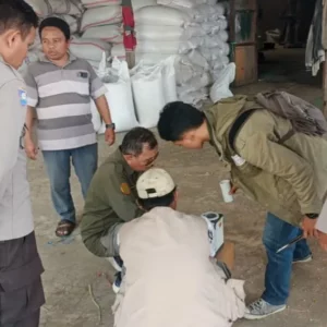 Polri Turun Langsung Awasi Penjualan Jagung Petani Batulayar