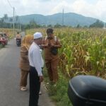 Polsek Gerung Turun ke Sawah, Bukti Nyata Dukung Ketahanan Pangan