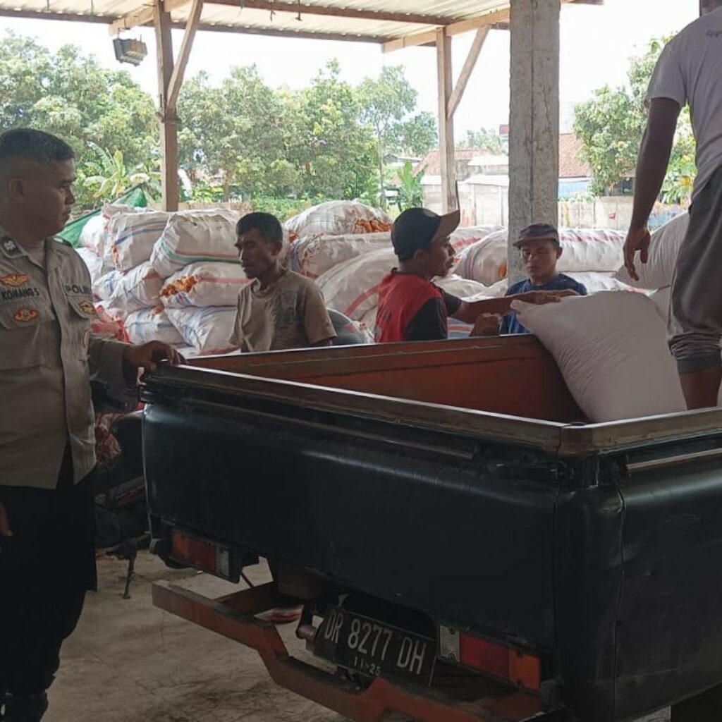 Polsek Sekotong Jamin Jagung Petani Terserap Bulog Tanpa Hambatan