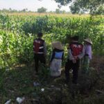 Aksi Sat Samapta Polres Lobar Kawal Panen dan Distribusi Pupuk