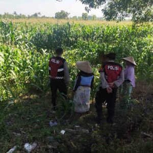 Aksi Sat Samapta Polres Lobar Kawal Panen dan Distribusi Pupuk