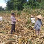 Bhabinkamtibmas Ajak Warga Jagaraga Manfaatkan Lahan Kosong