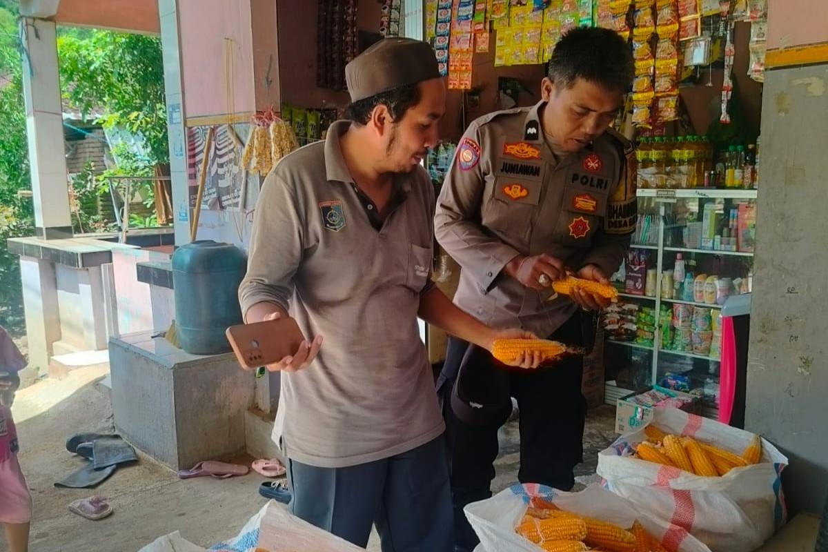 Peran Vital Bhabinkamtibmas: Dukungan Harga dan Serapan Panen Jagung