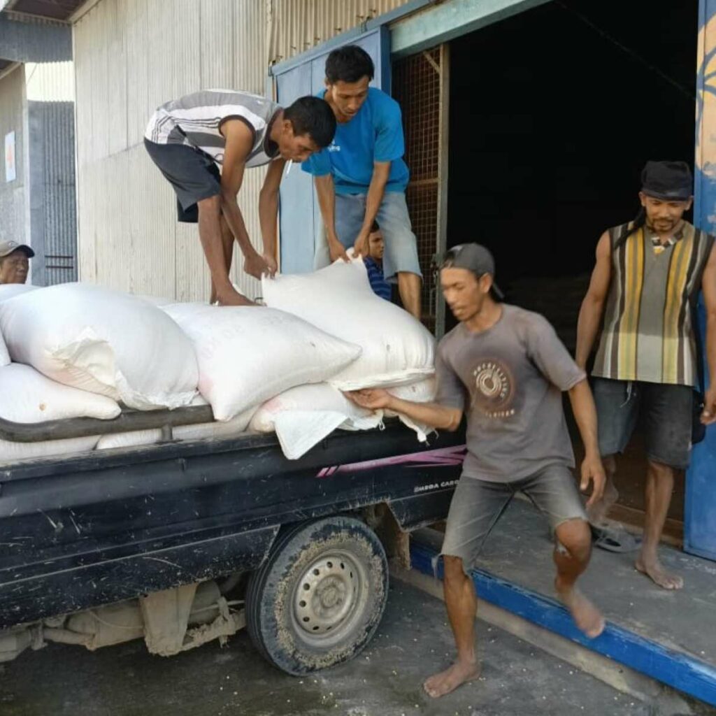 Sukses Panen: 25 Karung Jagung Petani Lombok Barat Terserap Bulog