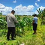 Jaminan Harga Stabil, Polsek Labuapi Dorong Petani Jual Hasil Panen ke Bulog