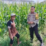 Sinergi Polsek Labuapi dan Petani Jaga Stok Pangan