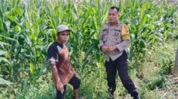 Sinergi Polsek Labuapi dan Petani Jaga Stok Pangan